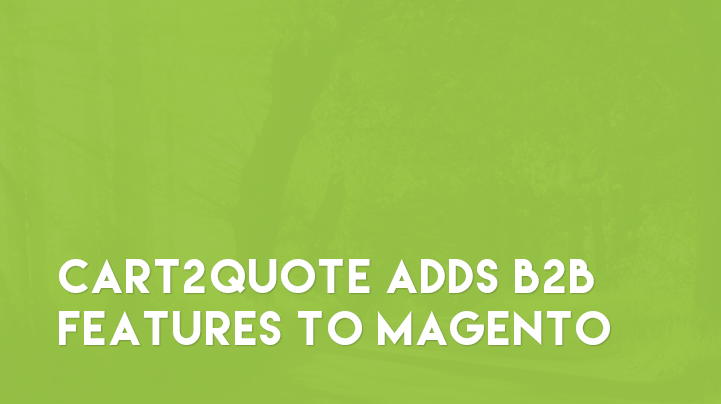 Magento B2B Features